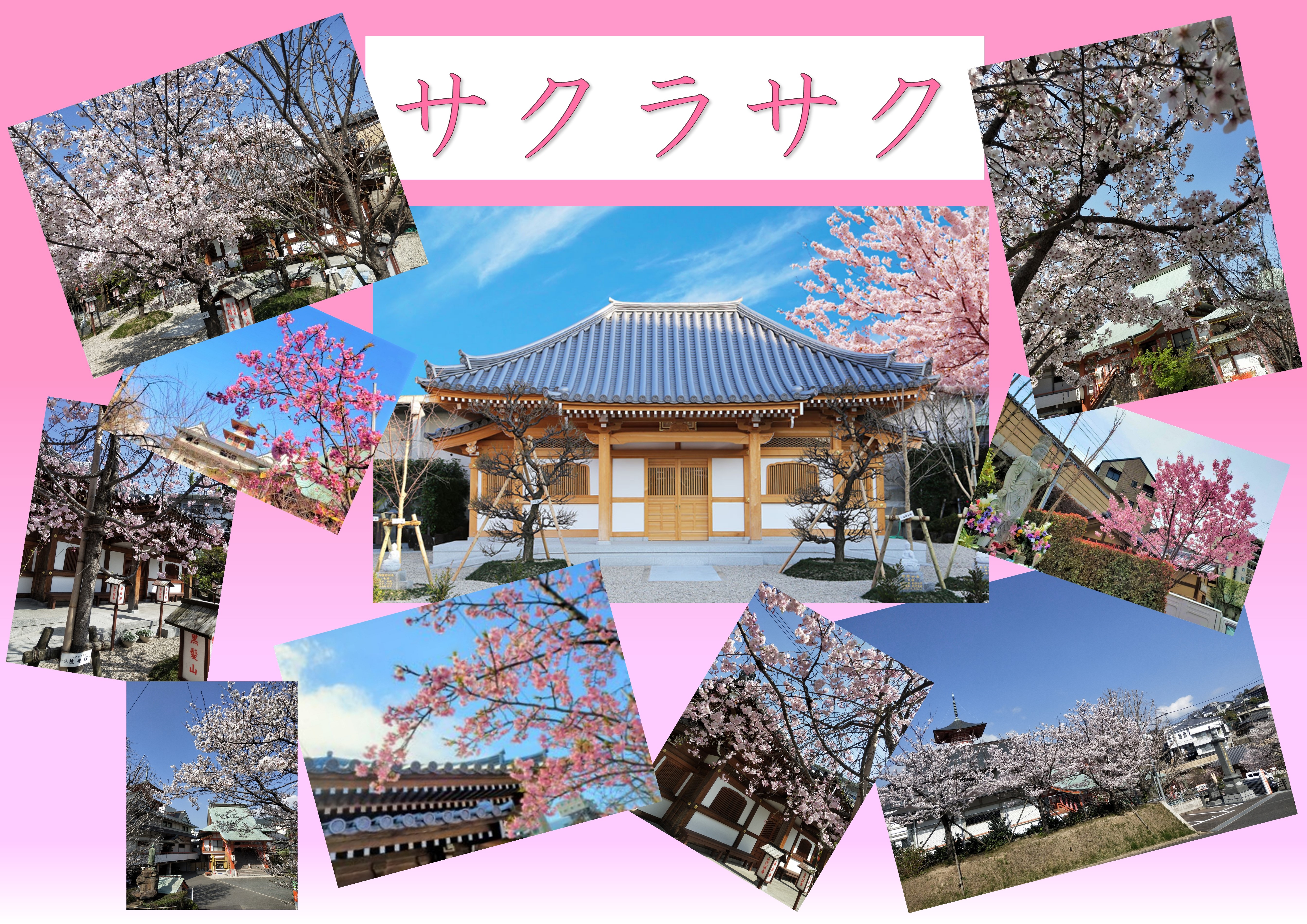 魔法のパワースポット パワースポット（1003）～（1005）龍ヶ崎市駅周辺